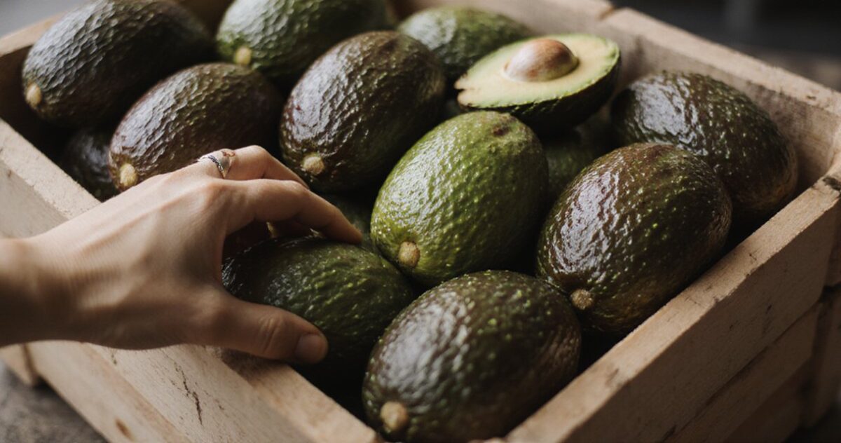 Person prüft Avocados in einer Holzkiste im Supermarkt, Fokus auf Farbe und Textur der Früchte